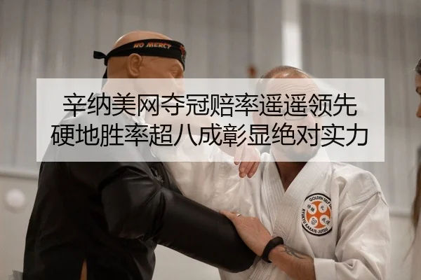 辛纳美网夺冠赔率遥遥领先 硬地胜率超八成彰显绝对实力 - kaiyun